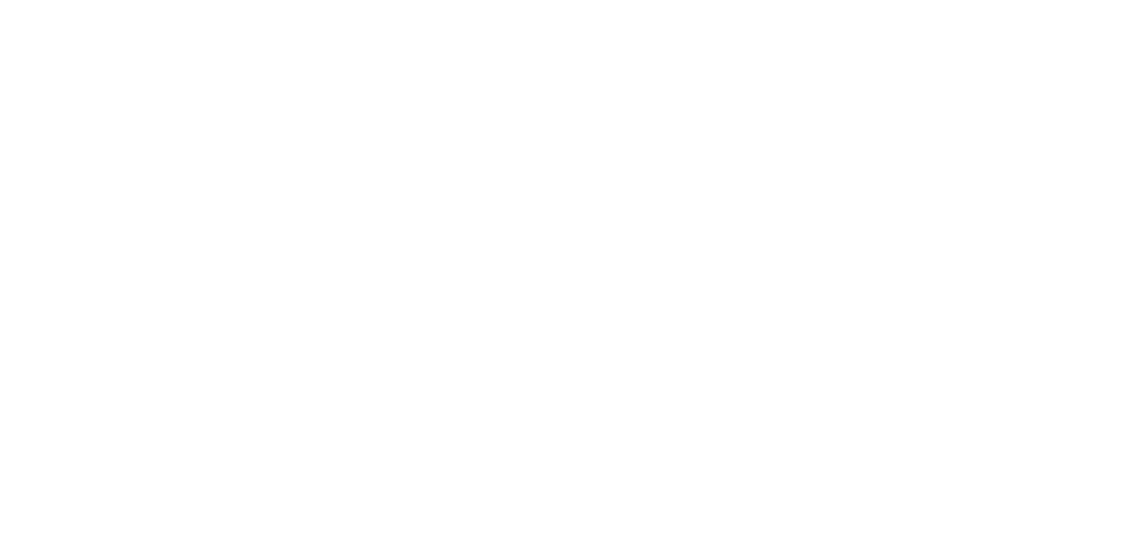 Avante International
